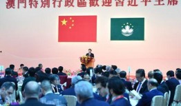 澳门政府最新爆料信息,揭秘背后惊人真相