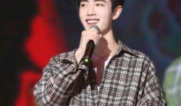 刘大锤最新爆料肖战,肖战最新动态揭秘