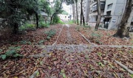 深圳木棉花爆料案件最新,揭开娱乐圈潜规则黑幕